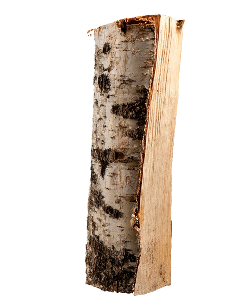 Halbe Palette kammergetrocknetes gespalten Birke Brennholz 25cm - Image 5